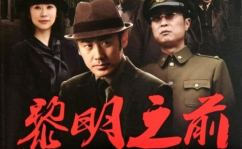 二十部顶级国产谍战剧,揭秘二十部国产谍战剧的惊心动魄与智慧较量