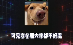 娱乐八卦吃瓜图片,吃瓜群众视角下的明星幕后故事
