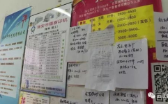 瑞安论坛求职招聘,海量职位信息，助力求职者精准匹配理想工作
