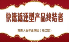 新华保险尊贵人生,全方位保障与理财规划的理想选择”