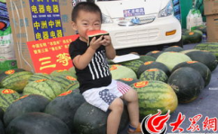 66吃瓜网,揭秘娱乐圈最新热点，带你领略明星幕后故事